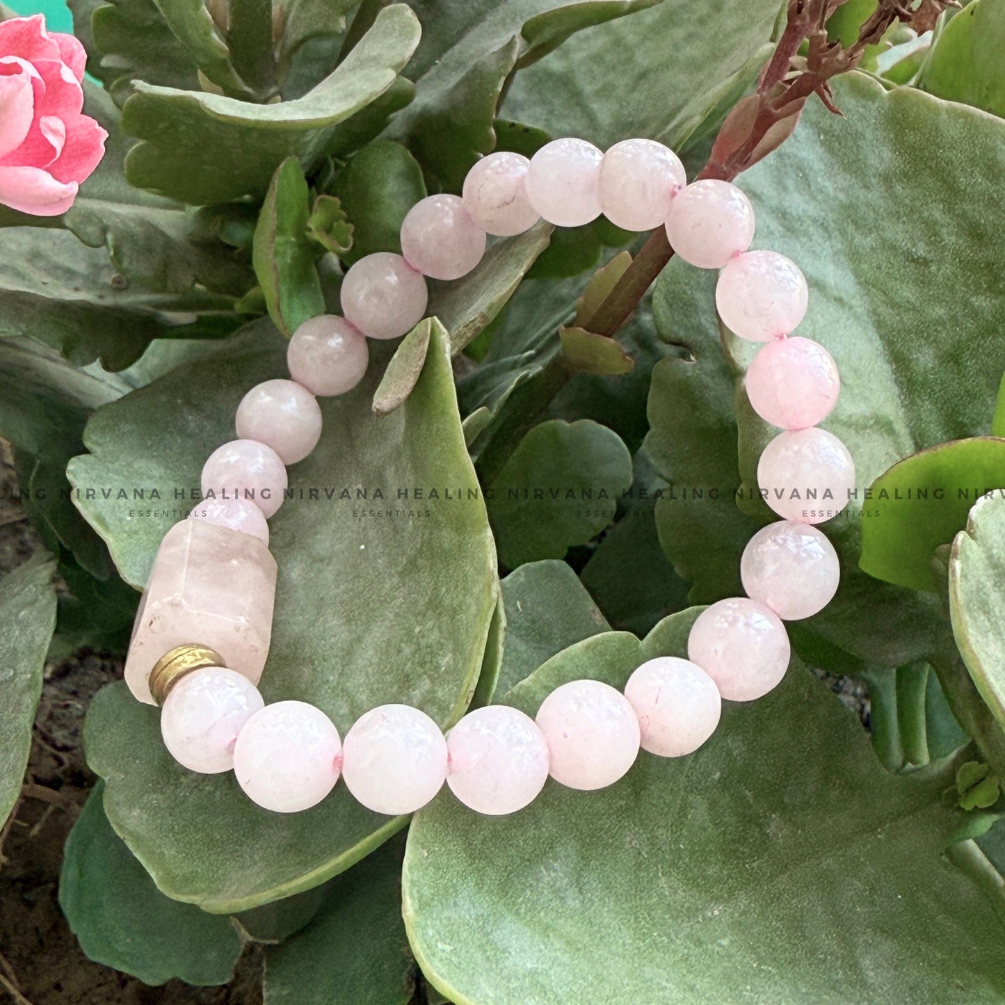 ROSE QUARTZ DESIGNER BEADED BRACELET (Love, Romance, Relationship And Emotion Balance) image 4