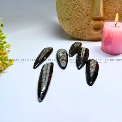 ORTHOCERAS KUBER STONE FOR FINANCIAL PROSPERITY (Wealth, Wisdom And Ancient Energy) image 0