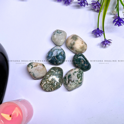TREE AGATE TUMBLE STONES (Abundance, Nature Connection And Inner Peace) image 4