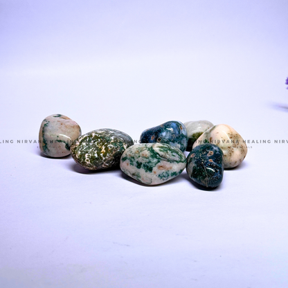 TREE AGATE TUMBLE STONES (Abundance, Nature Connection And Inner Peace) image 1