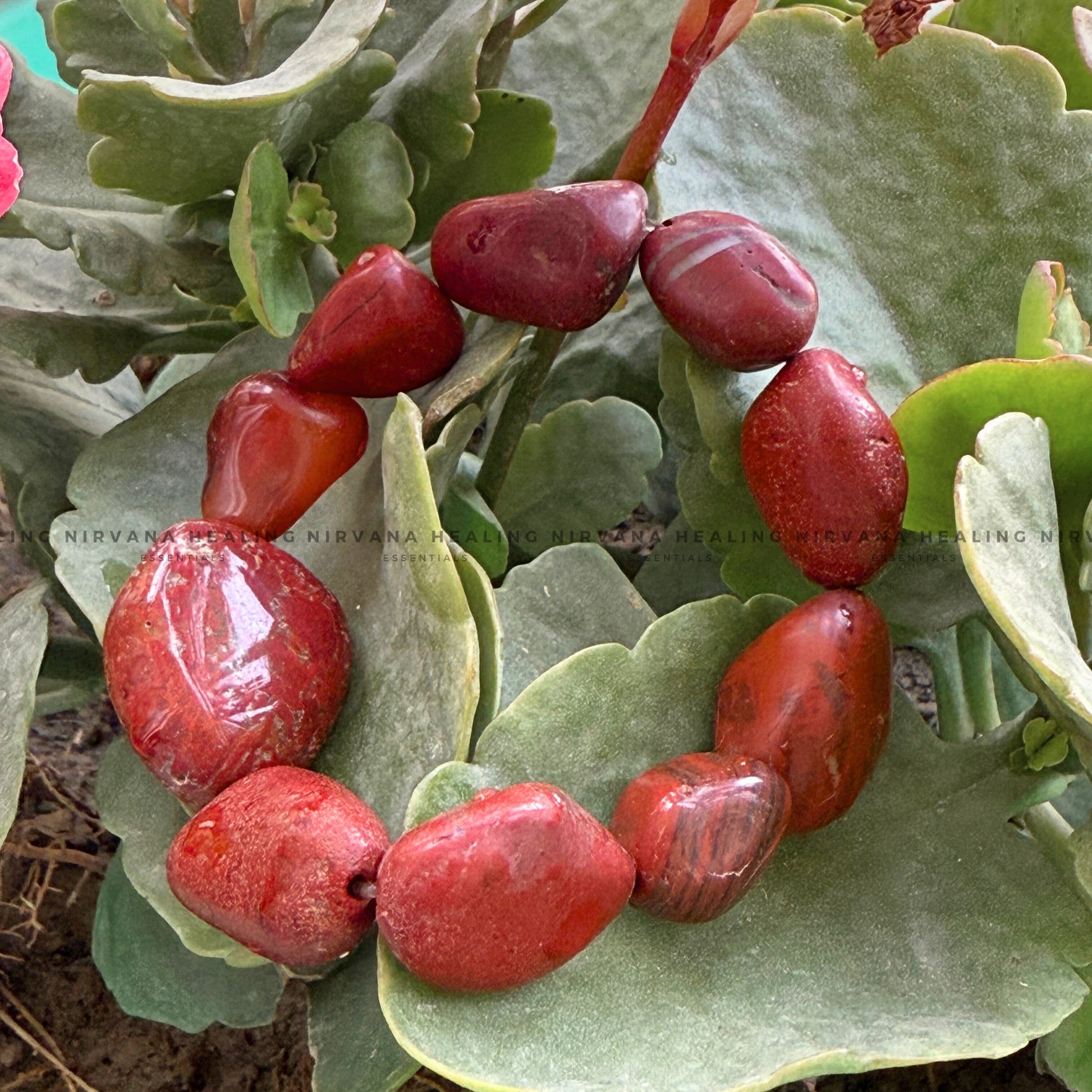 RED JASPER TUMBLE BRACELET (Immunity, Strength, Health And Pain Relief) image 4