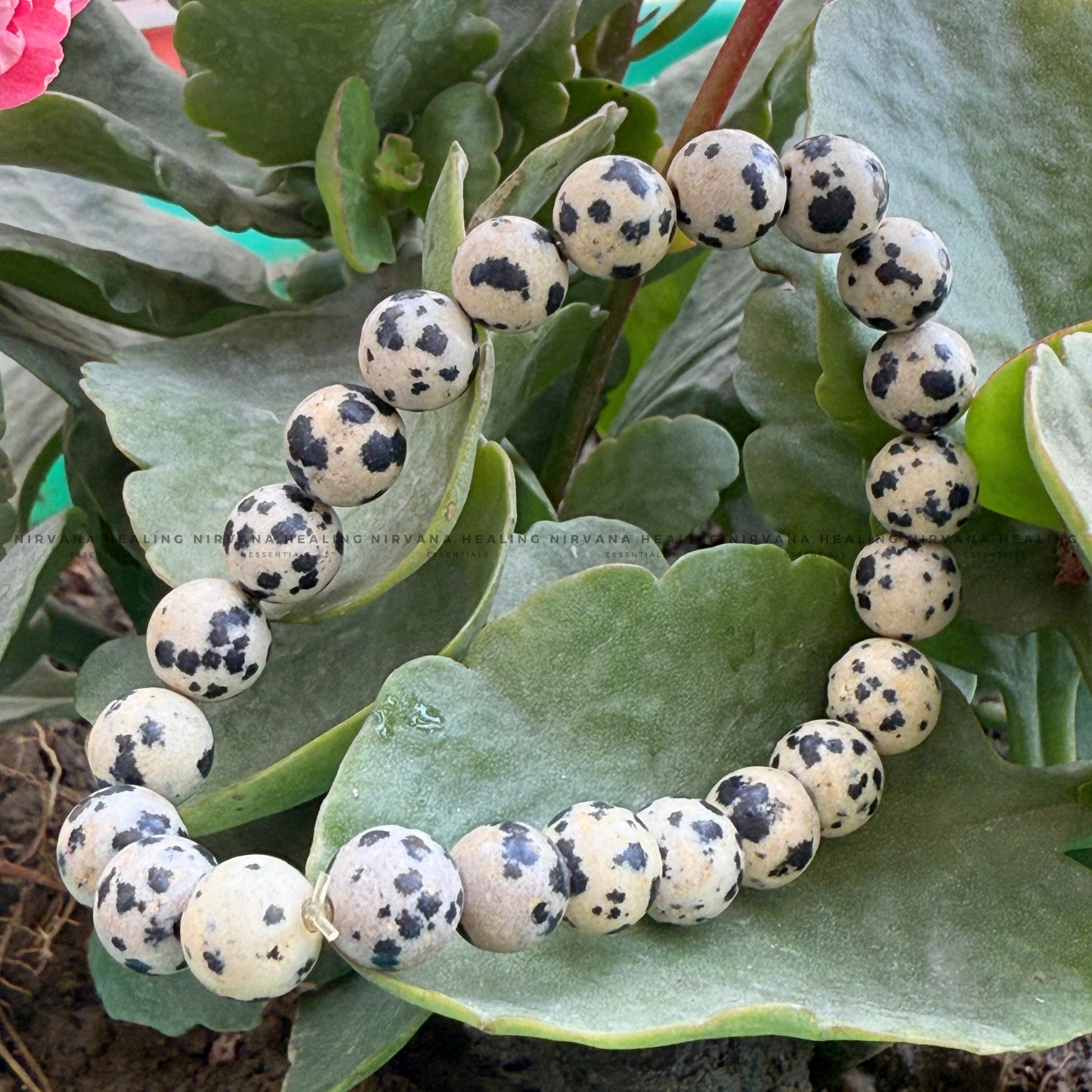 DALMATIAN ROUND BEADED BRACELET (Joy, Grounding And Loyalty) image 3