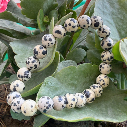 DALMATIAN ROUND BEADED BRACELET (Joy, Grounding And Loyalty) image 3