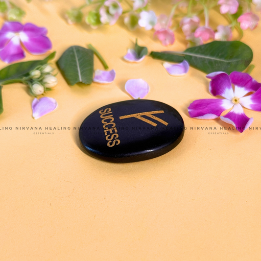 BLACK TOURMALINE SUCCESS ZIBU COIN (Protection, Grounding, Shielding And Growth) image 1