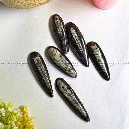 ORTHOCERAS KUBER STONE FOR FINANCIAL PROSPERITY (Wealth, Wisdom And Ancient Energy) image 2