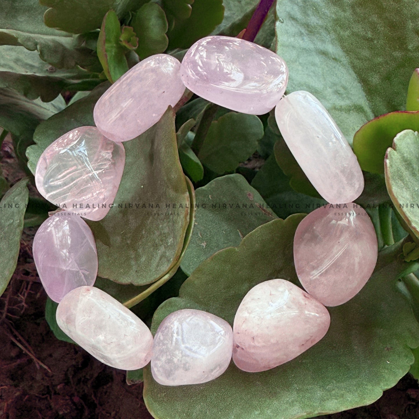 ROSE QUARTZ TUMLE BRACELET (Love, Romance, Relationship, Emotion And Balance) image 2