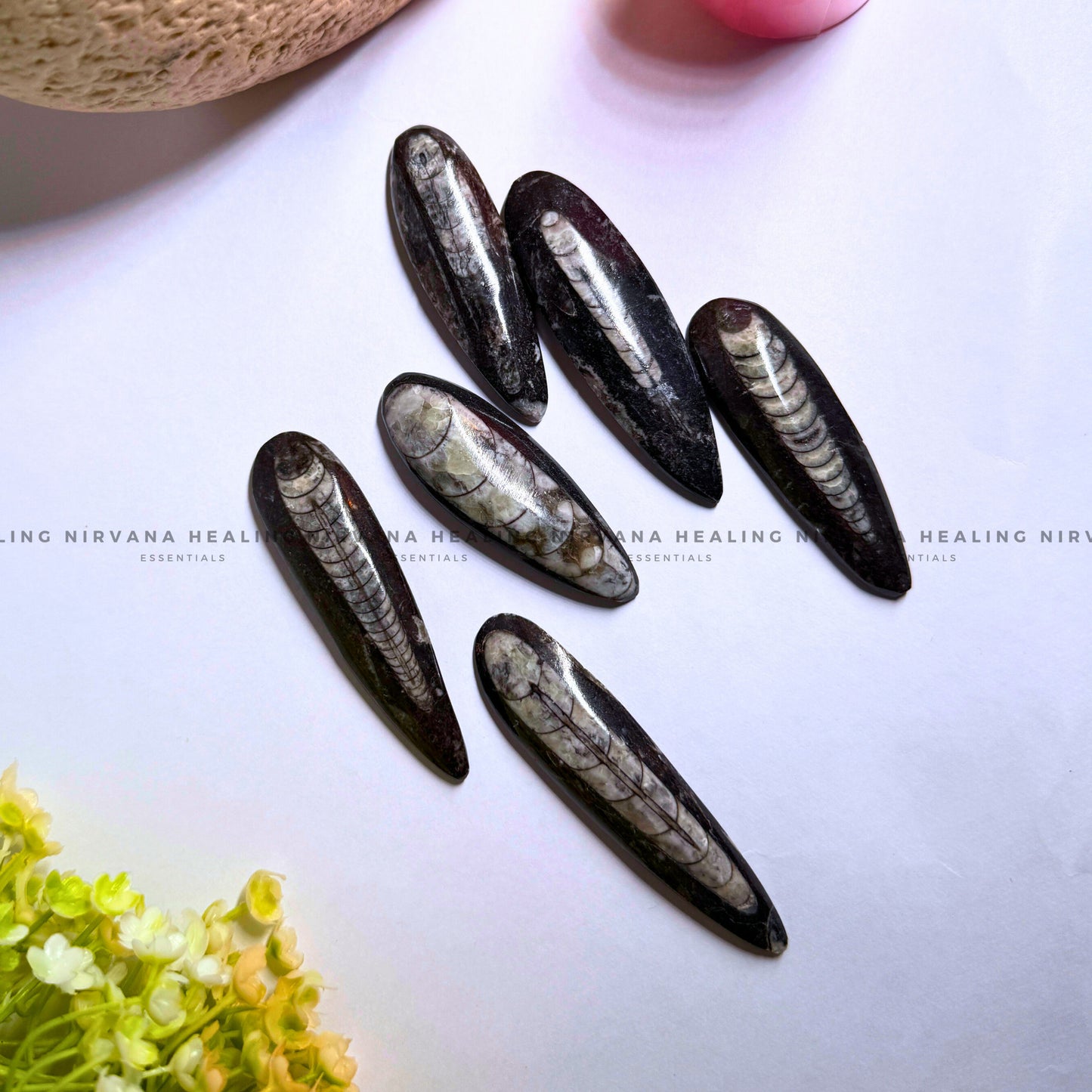 ORTHOCERAS KUBER STONE FOR FINANCIAL PROSPERITY (Wealth, Wisdom And Ancient Energy) image 1