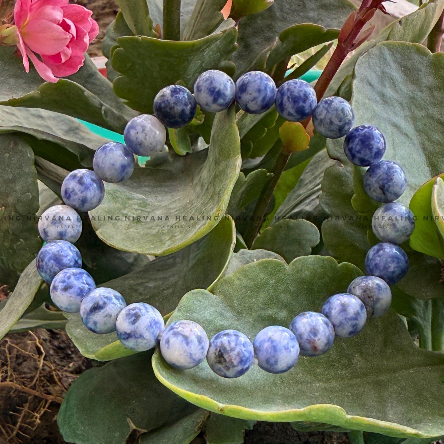 SODALITE ROUND BEADED BRACELET (Sodalite Creativity, Expression, Logic And Communication) image 4