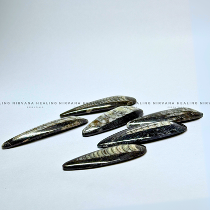 ORTHOCERAS KUBER STONE FOR FINANCIAL PROSPERITY (Wealth, Wisdom And Ancient Energy) image 3