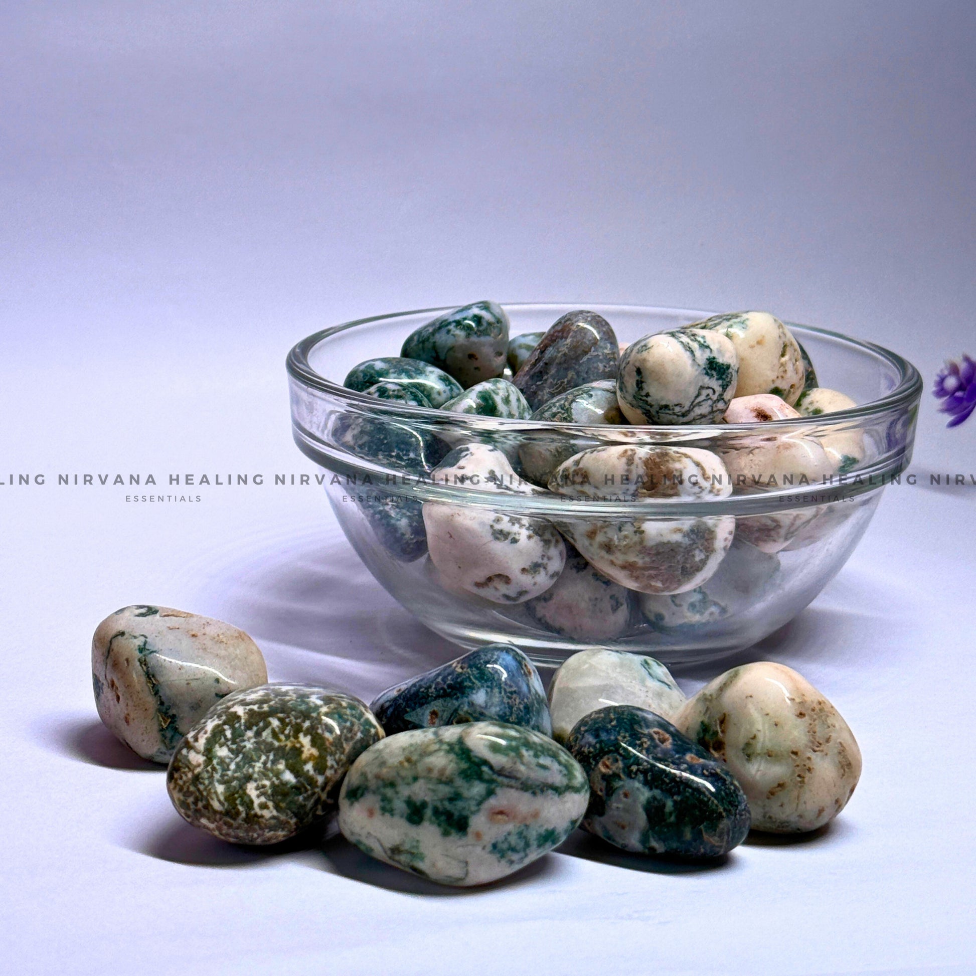 TREE AGATE TUMBLE STONES (Abundance, Nature Connection And Inner Peace) image 2