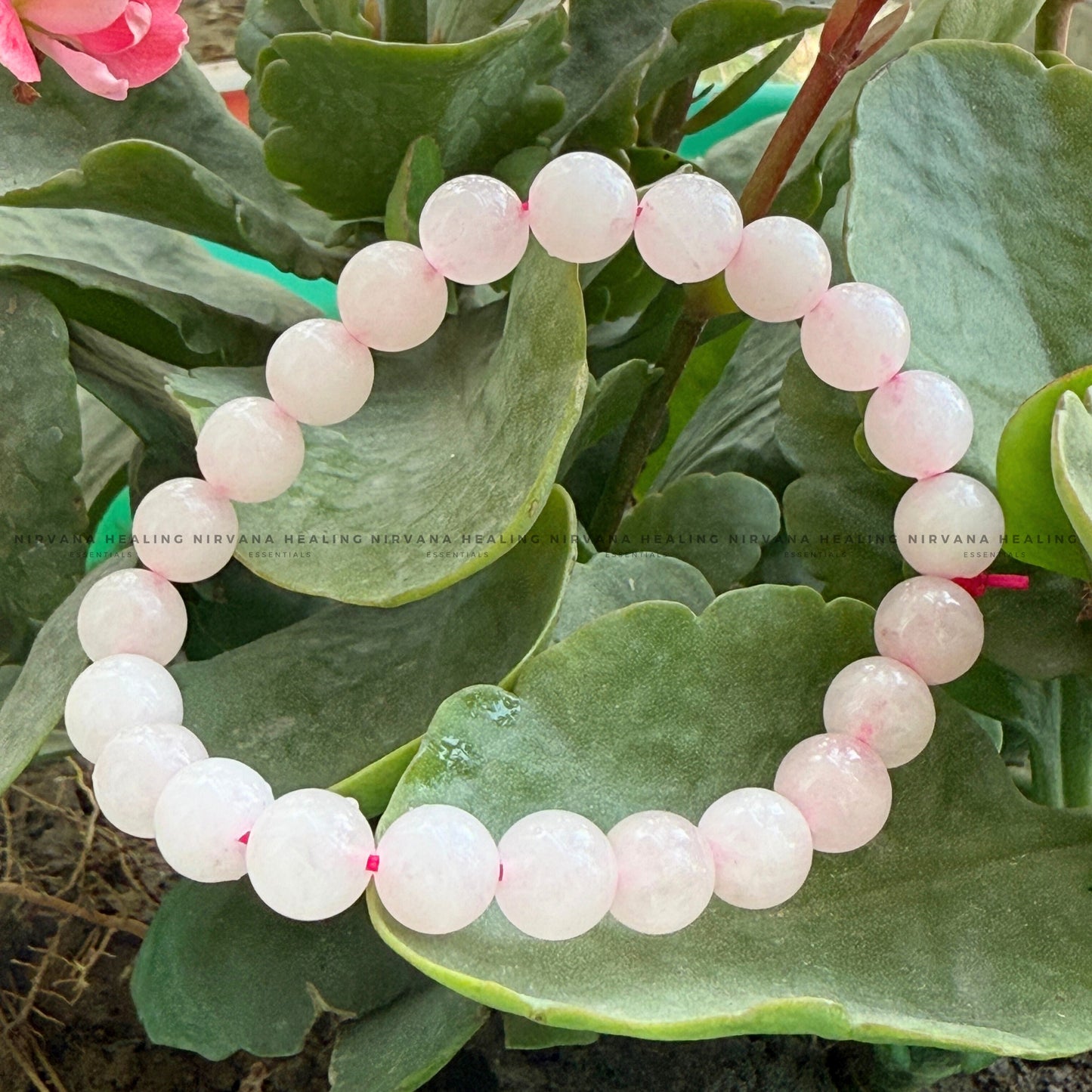 ROSE QUARTZ ROUND BEADED BRACELET (Love, Romance, Relationship, Emotion And Balance) image 4